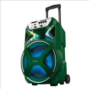 Caixa Amplificada Palmeiras CMPA-01